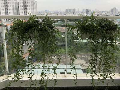 Hoang Anh Thanh Binh, Vietnam  Hoang Anh Thanh Binh, Vietnam