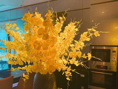 The Golden Palm Le Van Luong, Vietnam The Golden Palm Le Van Luong, Vietnam