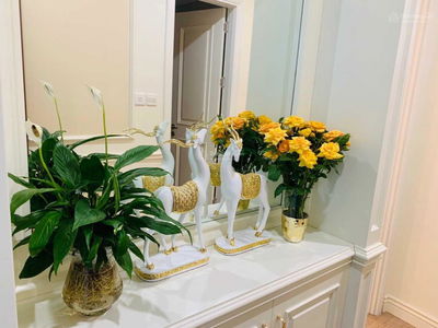 C14 - Ministry of Public Security, Vietnam C14 - Ministry of Public Security, Vietnam