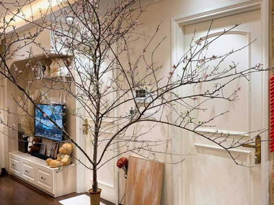 HC Golden City, Vietnam HC Golden City, Vietnam