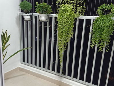 Orchid Park, Vietnam Orchid Park, Vietnam