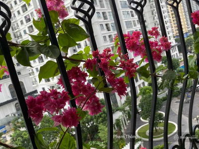 Florence My Dinh, Vietnam Florence My Dinh, Vietnam