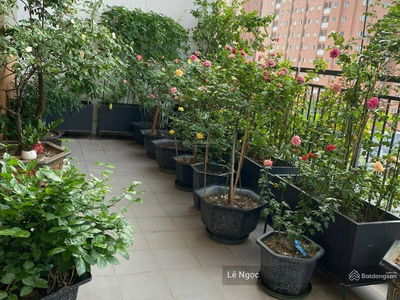 Tay Ho Tay Urban Area, Vietnam Tay Ho Tay Urban Area, Vietnam