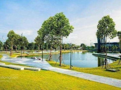 Moonlight 1, Vietnam Moonlight 1, Vietnam