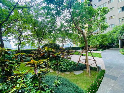 Mulberry Lane, Vietnam Mulberry Lane, Vietnam