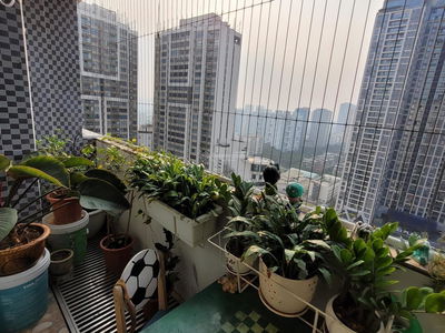 FLC Landmark Tower, Vietnam FLC Landmark Tower, Vietnam