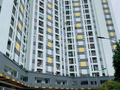 Rice City Song Hong, Vietnam Rice City Song Hong, Vietnam