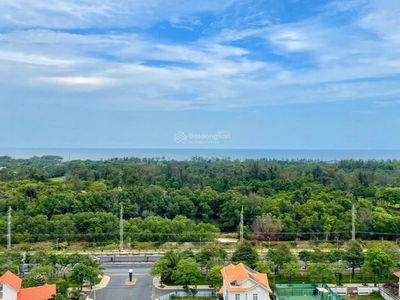 Dic Phoenix Dic Phoenix