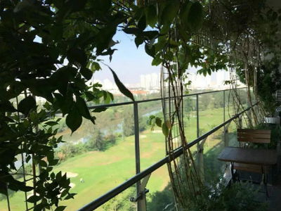 Scenic Valley, Vietnam Scenic Valley, Vietnam