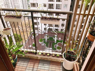 Sunrise Riverside, Vietnam Sunrise Riverside, Vietnam