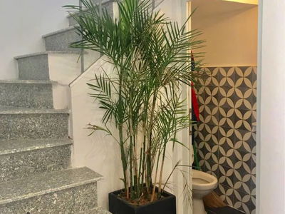 Жилье в Ho Chi Minh City, Vietnam  Жилье в Ho Chi Minh City, Vietnam