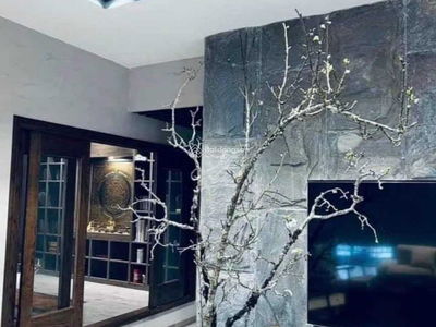 Petrowaco, Vietnam Petrowaco, Vietnam