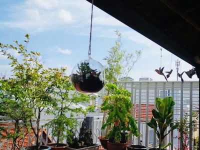 10 District, Vietnam  10 District, Vietnam