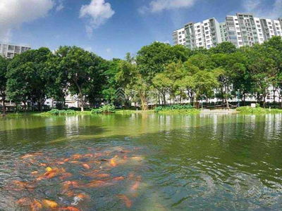 Celadon City, Vietnam Celadon City, Vietnam