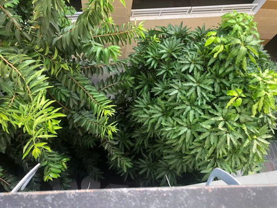 Logement dans Ho Chi Minh City, Vietnam Logement dans Ho Chi Minh City, Vietnam