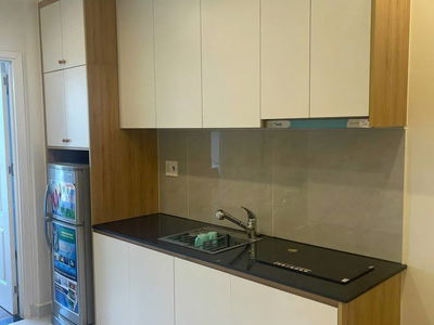 Housing in Ho Chi Minh City, Vietnam Housing in Ho Chi Minh City, Vietnam