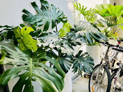 Alojamiento en Ho Chi Minh City, Vietnam Alojamiento en Ho Chi Minh City, Vietnam