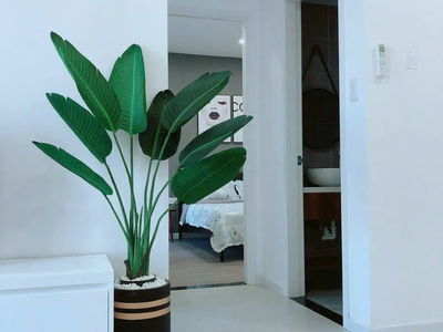 Sunrise Riverside, Vietnam Sunrise Riverside, Vietnam