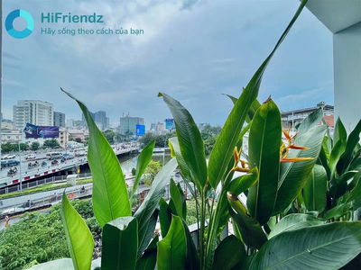 Жилье в Ho Chi Minh City, Vietnam Жилье в Ho Chi Minh City, Vietnam