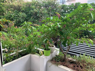 Жилье в Ho Chi Minh City, Vietnam Жилье в Ho Chi Minh City, Vietnam