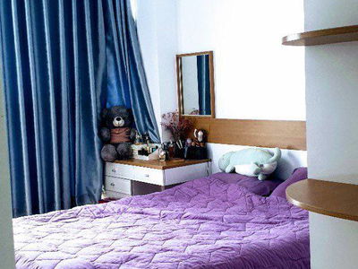 Scenic Valley, Vietnam Scenic Valley, Vietnam