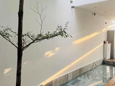 Green View, Vietnam Green View, Vietnam