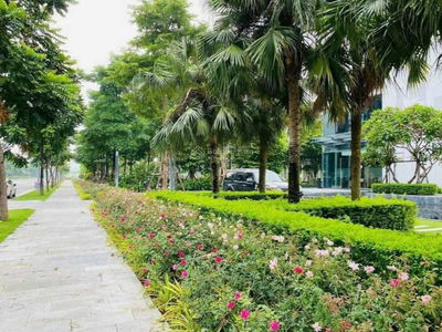 Moonlight 1, Vietnam Moonlight 1, Vietnam