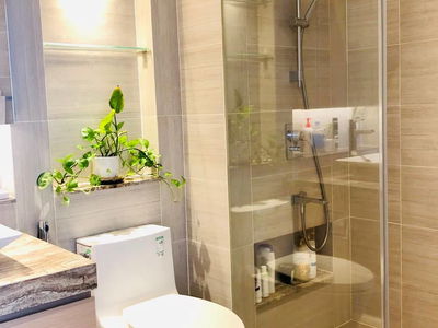 Picture, Vietnam Picture, Vietnam