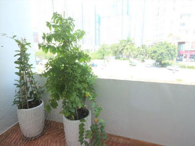 Gehäuse In Ho Chi Minh City, Vietnam Gehäuse In Ho Chi Minh City, Vietnam