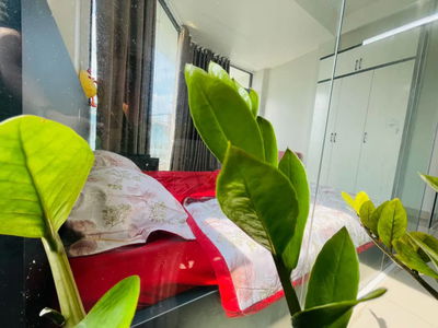 Alojamiento en Ho Chi Minh City, Vietnam Alojamiento en Ho Chi Minh City, Vietnam