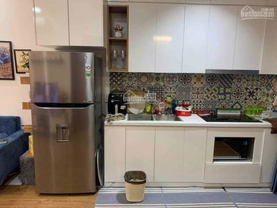 Iris Garden Iris Garden