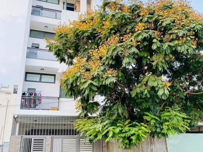 Alojamiento en Ho Chi Minh City, Vietnam  Alojamiento en Ho Chi Minh City, Vietnam