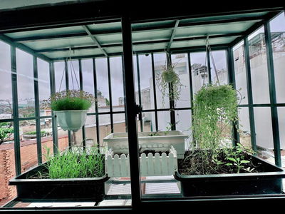 Жилье в Ho Chi Minh City, Vietnam  Жилье в Ho Chi Minh City, Vietnam