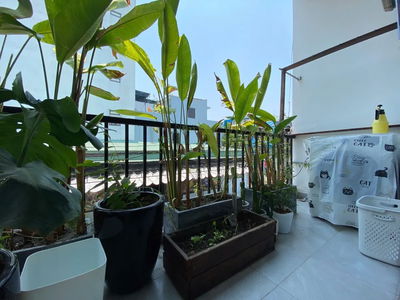 Logement dans Da Nang, Vietnam Logement dans Da Nang, Vietnam