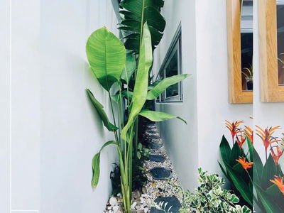 Euro Village 2, Vietnam Euro Village 2, Vietnam