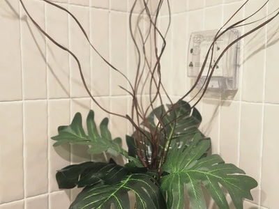 Sam Tower, Vietnam Sam Tower, Vietnam