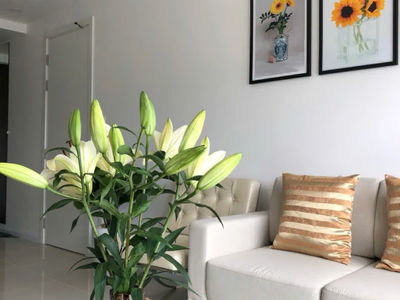 Hiyori Building, Vietnam Hiyori Building, Vietnam