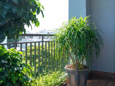 Жилье в Da Nang, Vietnam Жилье в Da Nang, Vietnam