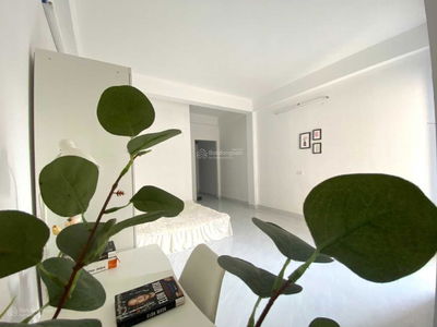 Lane 116, Vietnam Lane 116, Vietnam