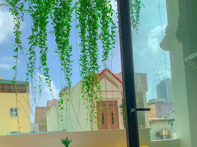 Alojamiento en Da Nang, Vietnam Alojamiento en Da Nang, Vietnam