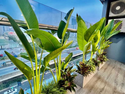 FLC Landmark Tower, Vietnam FLC Landmark Tower, Vietnam