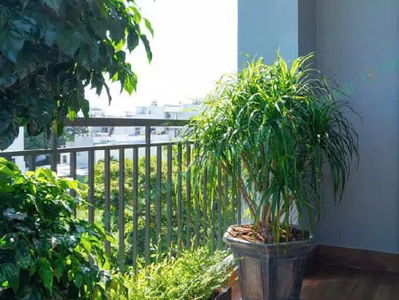 My area, Vietnam  My area, Vietnam