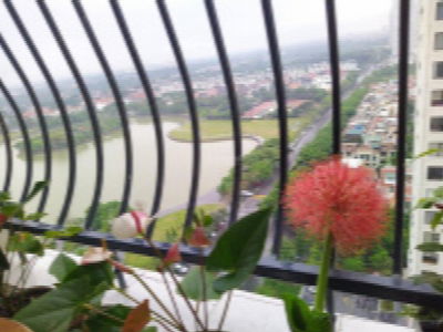 An Binh City, Vietnam An Binh City, Vietnam