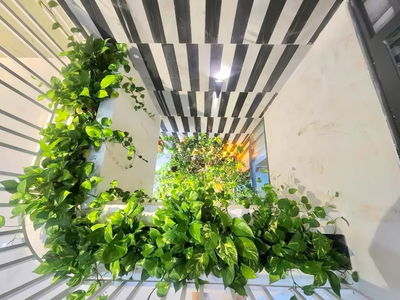 Alojamiento en Da Nang, Vietnam Alojamiento en Da Nang, Vietnam