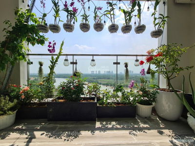 Riverside Residence, Vietnam  Riverside Residence, Vietnam