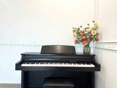 Alojamiento en Da Nang, Vietnam Alojamiento en Da Nang, Vietnam