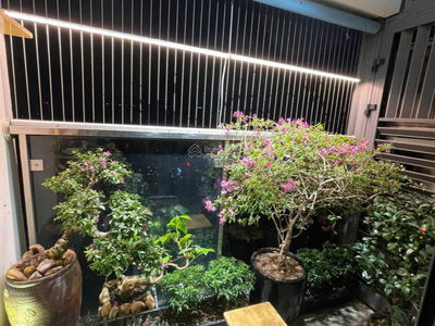 GoldSeason, Vietnam GoldSeason, Vietnam