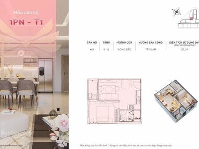 VCN, Vietnam VCN, Vietnam