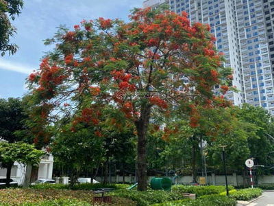 Hoang Thanh Pearl, Vietnam Hoang Thanh Pearl, Vietnam