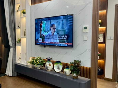 The Artemis Project, Vietnam The Artemis Project, Vietnam